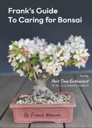 Frank's Guide to Caring for Bonsai