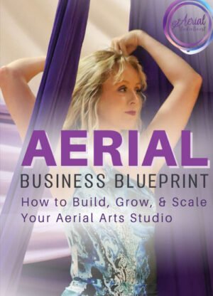 Aerial Business Blueprint